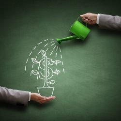 Los errores recurrentes del emprendedor