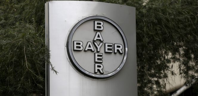 Bayer