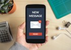 WhatsApp no cala en las empresas WhatsApp no cala en las empresas