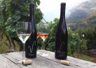 Otra razón para creer en el vino de Cangas Otra razón para creer en el vino de Cangas