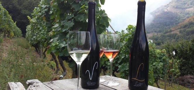 Vitheras ha creado dos variedades de vino: un blanco, por el que ha obtenido varios premios, y un rosado bautizado Lucía.
