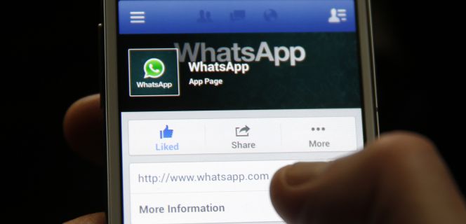 Una persona utilizando la aplicación WhatsApp.