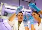 CRB Inverbío, nuevo mecenas 'biotec' para 2017 CRB Inverbío, nuevo mecenas 'biotec' para 2017