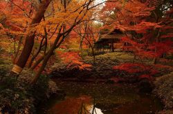 Parque Meiji Jingu Gaien, en Tokio.