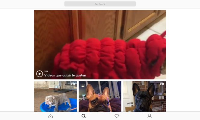 Interfaz de Instagram para Windows 10