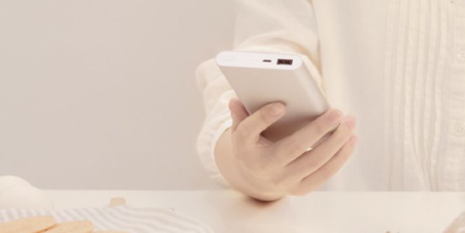 Batería Xiaomi Mi Power 2