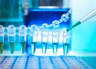 El fármaco cardiovascular de BMS y Pfizer se refuerza El fármaco cardiovascular de BMS y Pfizer se refuerza