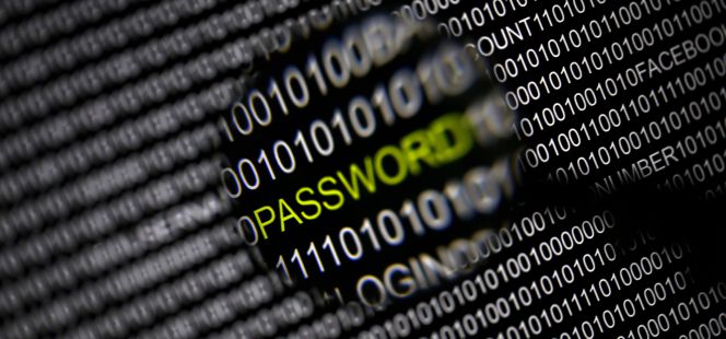 Internet, a expensas de las cosas