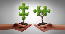 Fusiones en renovables