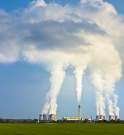 ¿Qué medidas utilizan las empresas para reducir su huella de carbono?