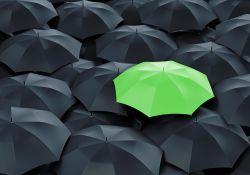 ¿Qué medidas utilizan las empresas para reducir su huella de carbono?