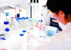 Las aseguradoras no podrán realizar pruebas genéticas Las aseguradoras no podrán realizar pruebas genéticas