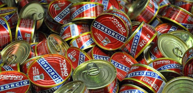 El italiano que se enamoró de las anchoas de Santoña