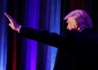 Trump, un jardinero con excavadora Trump, un jardinero con excavadora