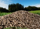 El futuro pasa por la biomasa o la geotermia El futuro pasa por la biomasa o la geotermia