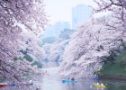 Tokio, de ida y vuelta Tokio, de ida y vuelta