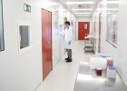 Llegan los nanofármacos ‘made in Spain’ Llegan los nanofármacos ‘made in Spain’