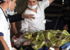 Seis supervivientes en un accidente aéreo en Colombia Seis supervivientes en un accidente aéreo en Colombia
