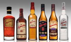 El ron dominicano de origen español que salió de Cuba
