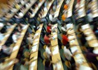 Una educación que aspire a la excelencia Una educación que aspire a la excelencia