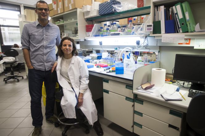 Los científicos Salvador Aznar Benitah y Gloria Pascual, que forman parte del equipo de investigadores del Instituto de Investigación Biomédica de Barcelona, posan para los medios en su laboratorio tras anunciar hoy que han descubierto que las células tumorales necesitan grasa para expandirse y que, aislando la proteína que capta esta grasa, las metástasis se reducen.