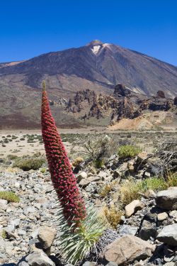 Parque Nacional del Teide