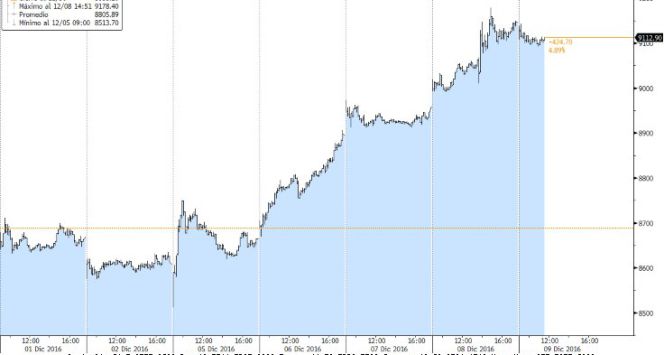 Ibex