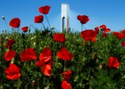 Abengoa recibe luz verde de EE UU a su plan de viabilidad Abengoa recibe luz verde de EE UU a su plan de viabilidad