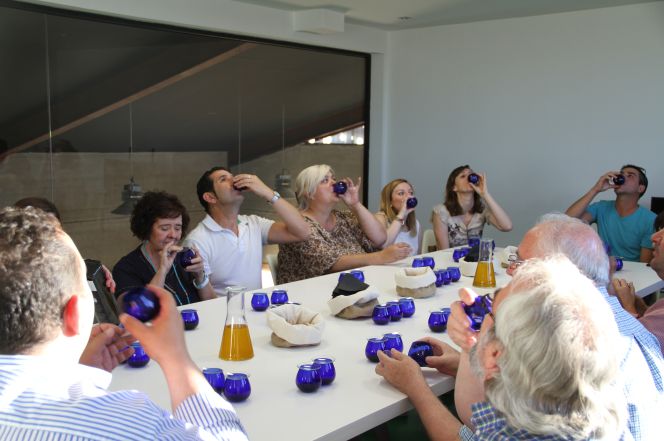 Curso de cata de aceite en la fábrica Luz de Alba, en Argamasilla de Alba.
