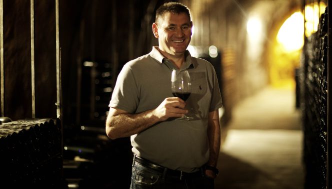 bodegas vino