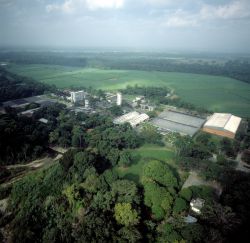 Planta y destilería de la empresa.