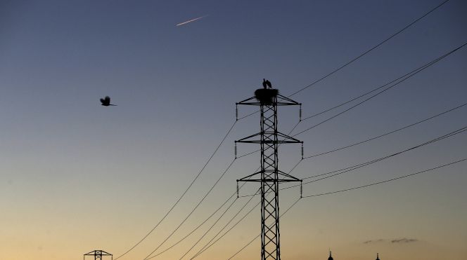 Dos cigüeñas permanecen en el nido de la torre de un tendido eléctrico cercano a la Catedral de Pamplona. EFEArchivo