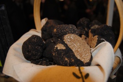 Trufas de Soria