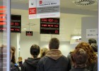 Más directivos y más pluriempleados en 2016 Más directivos y más pluriempleados en 2016