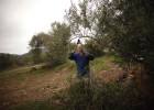 Deoleo aprueba un ERE en España para reducir costes Deoleo aprueba un ERE en España para reducir costes