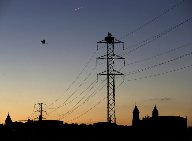 Dos cigüeñas permanecen en el nido de la torre de un tendido eléctrico