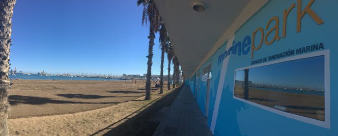 Marine Park: Canarias vuelve a mirar hacia el mar