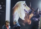 Todo el cuidado del animal en un solo espacio Todo el cuidado del animal en un solo espacio
