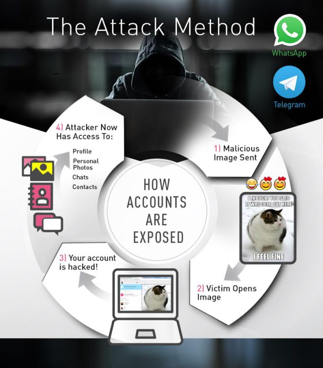 Una simple imagen puede haber robado miles de cuentas de WhatsApp y Telegram