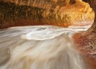 Oriente Medio, el oasis hídrico español Oriente Medio, el oasis hídrico español
