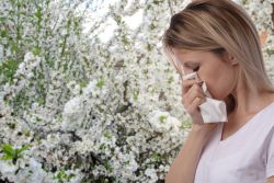 La alergia, ¿una enfermedad vinculada al progreso?