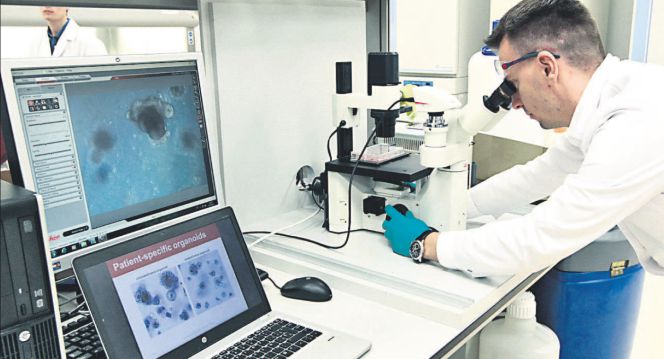 Laboratorio del Centro de Investigación en Química Médica de Lilly en Madrid.