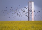 Abengoa pone en marcha su ampliación de 1.139 millones Abengoa pone en marcha su ampliación de 1.139 millones