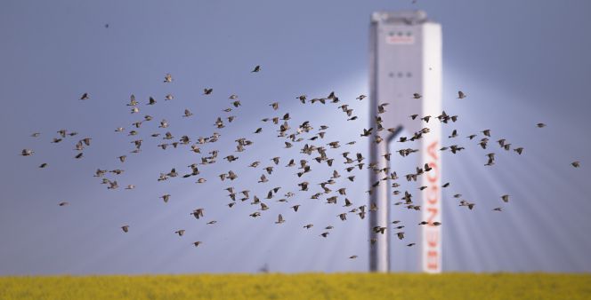 Abengoa
