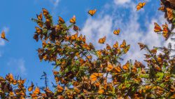 Llega la primavera, ¡por fin nos vamos de parques!