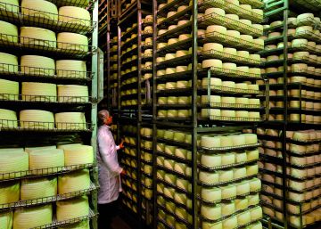 Las empresas de alimentación preparan el desembarco en Canadá Las empresas de alimentación preparan el desembarco en Canadá