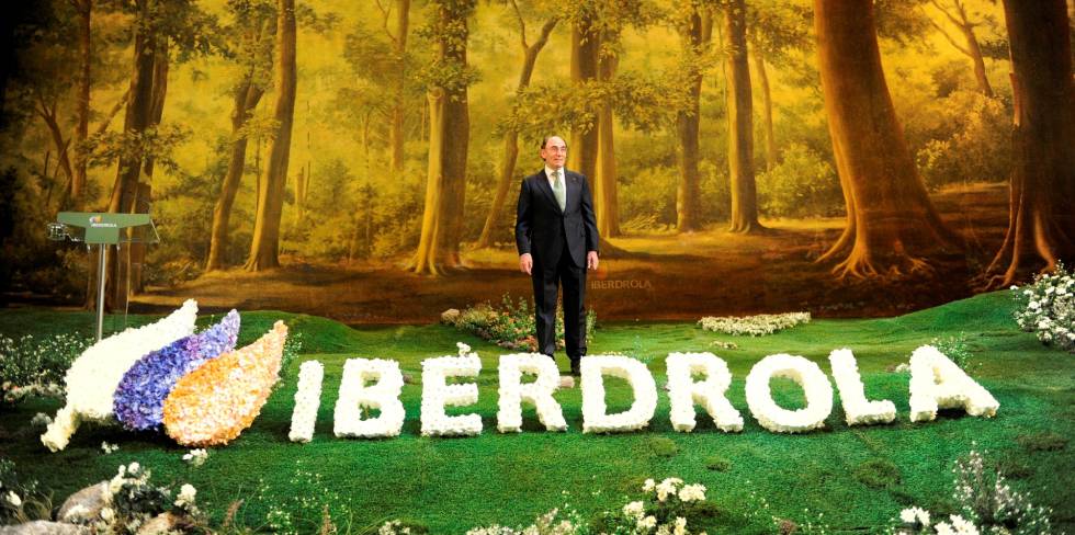 La Audiencia de Madrid resta opciones al recurso de Iberdrola ... - Cinco Días
