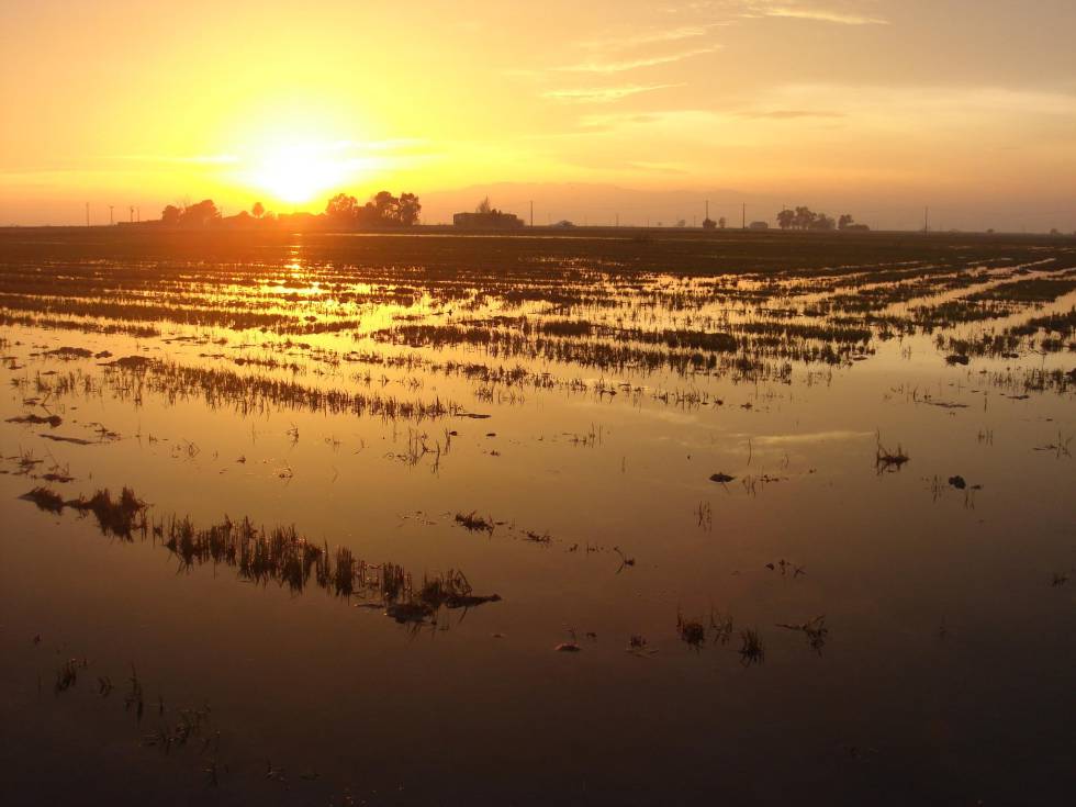 Delta del Ebro.