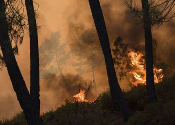 IN03 SERTÃ (PORTUGAL) 24072017.- Vista de las llamas en un incendio forestal declarado en el distrito de Castelo Branco (Portugal) el 24 de julio de 2017. EFESergio Azenha