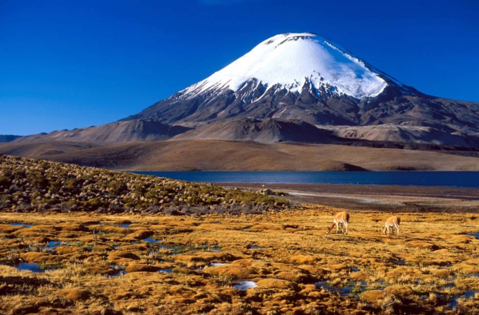 Parinacota
